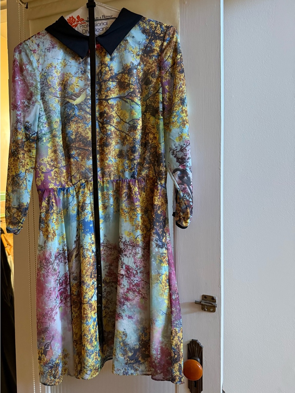 Ted Baker London Dress - Picture 5 of 6